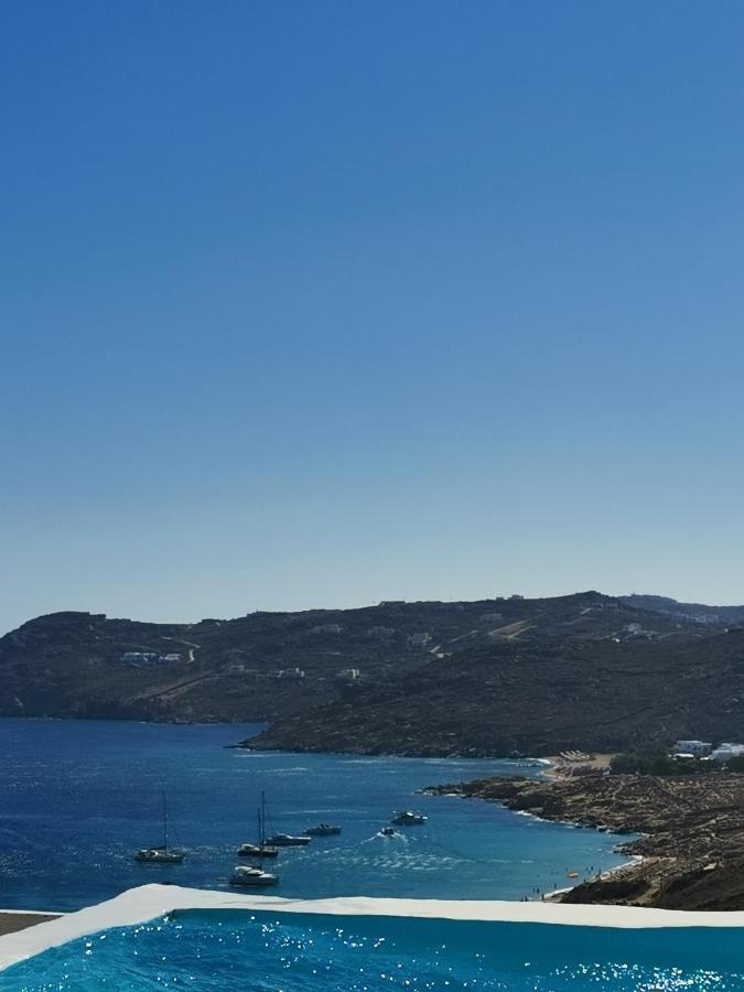 Villa Viktoria In Elia Beach, Mykonos Mykonos Town Екстериор снимка