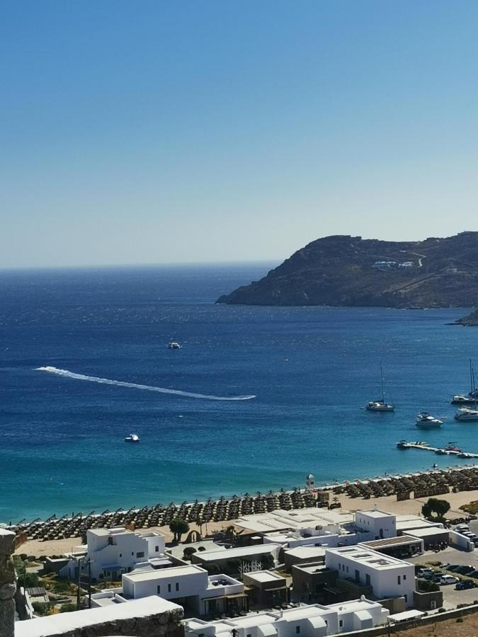 Villa Viktoria In Elia Beach, Mykonos Mykonos Town Екстериор снимка